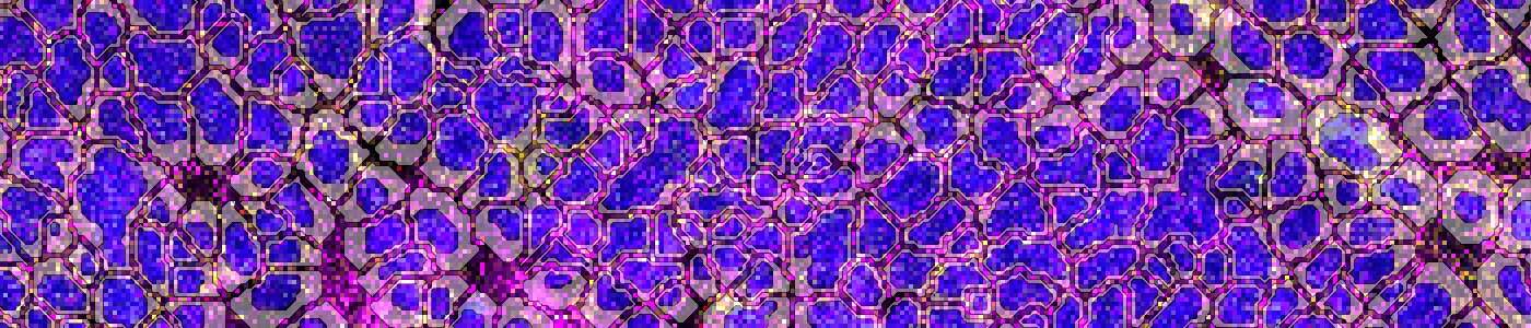 Cell Detection AI (IMC)