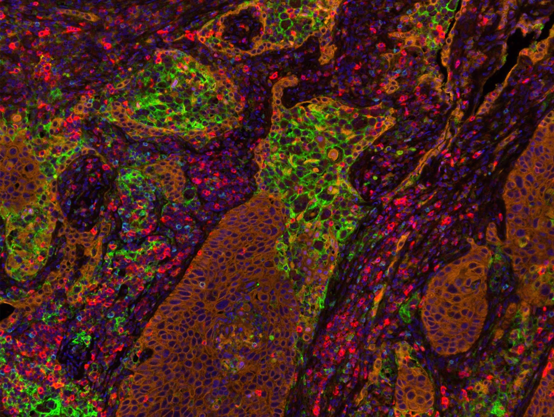 Because pathology deserves