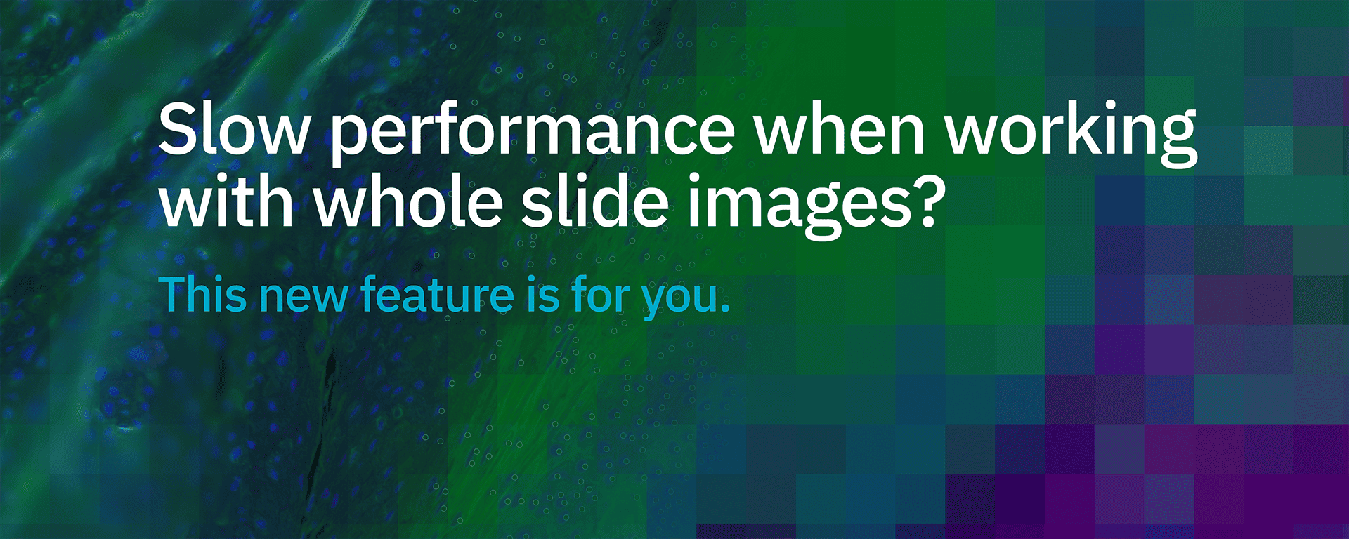 Slow performance when working with whole slide images?