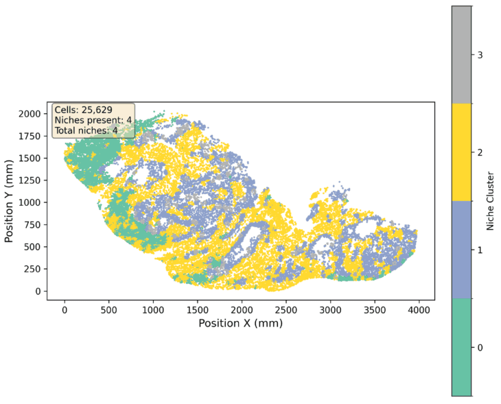 Pathology image with cell clustering and niche analysis for drug development.