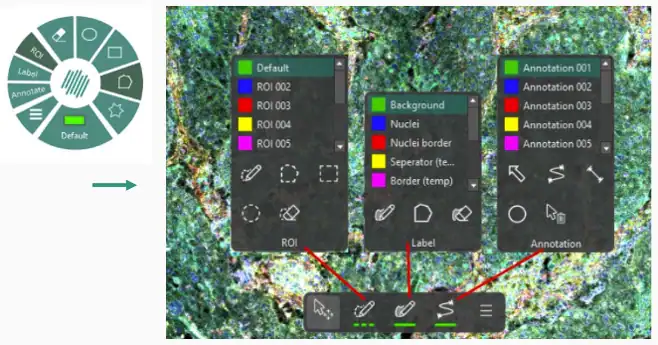 New drawing tool bar in the Visiopharm software