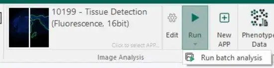A batch analysis can now be started directly from the ribbon
