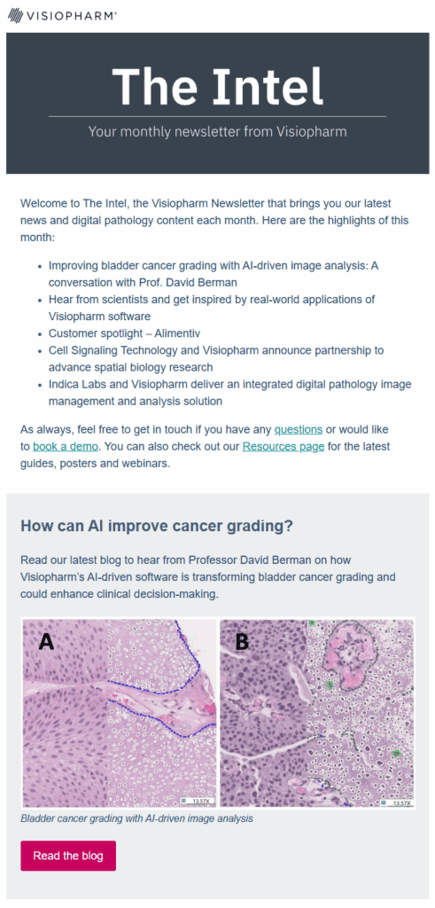 The Intel newsletter