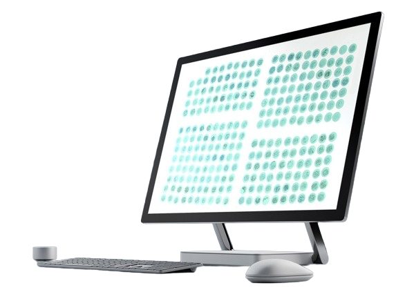 Tissue microarray (TMA)